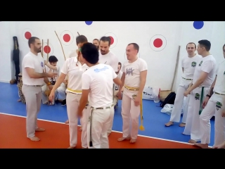 Трока вовы, тимура, люды (жёлтые)