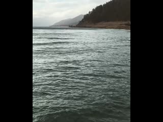 Julia ka 38 20201028 210425 0 mp4