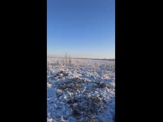 Sl mo vid 20201110 114216 mp4