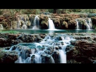 Oliver shanti friends well balanced