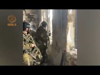 Video by ramzan kadyrov