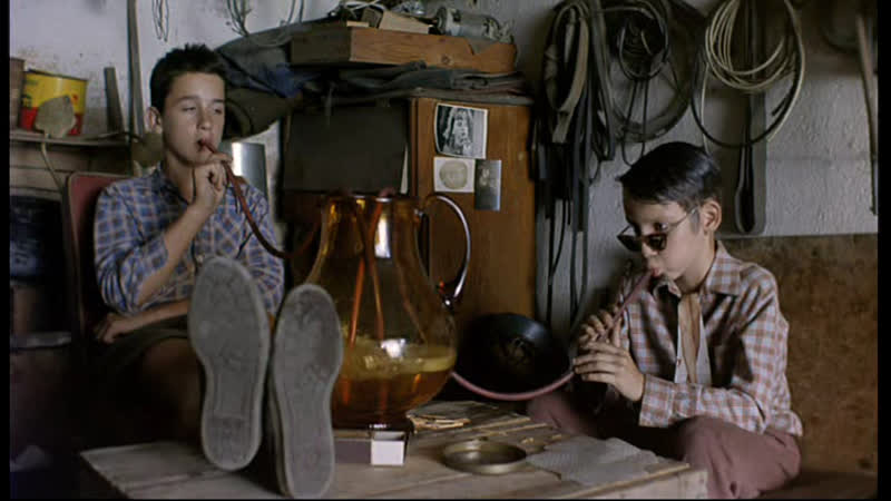 Шакальи годы / sakali leta / šakalí léta (1993 чехия ) комедия драма молодые в кино реж ян гржебейк / jan hrebejk / jan hřebejk