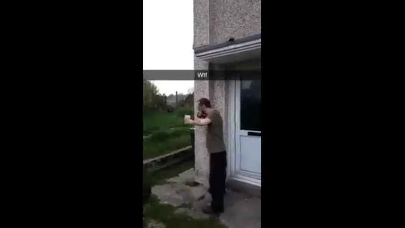 Потомок змея горыныча поджог небо и уполз по траве!