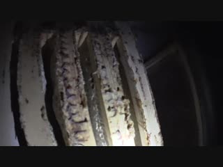 Пчёлы в омшанике осмотр пчёл