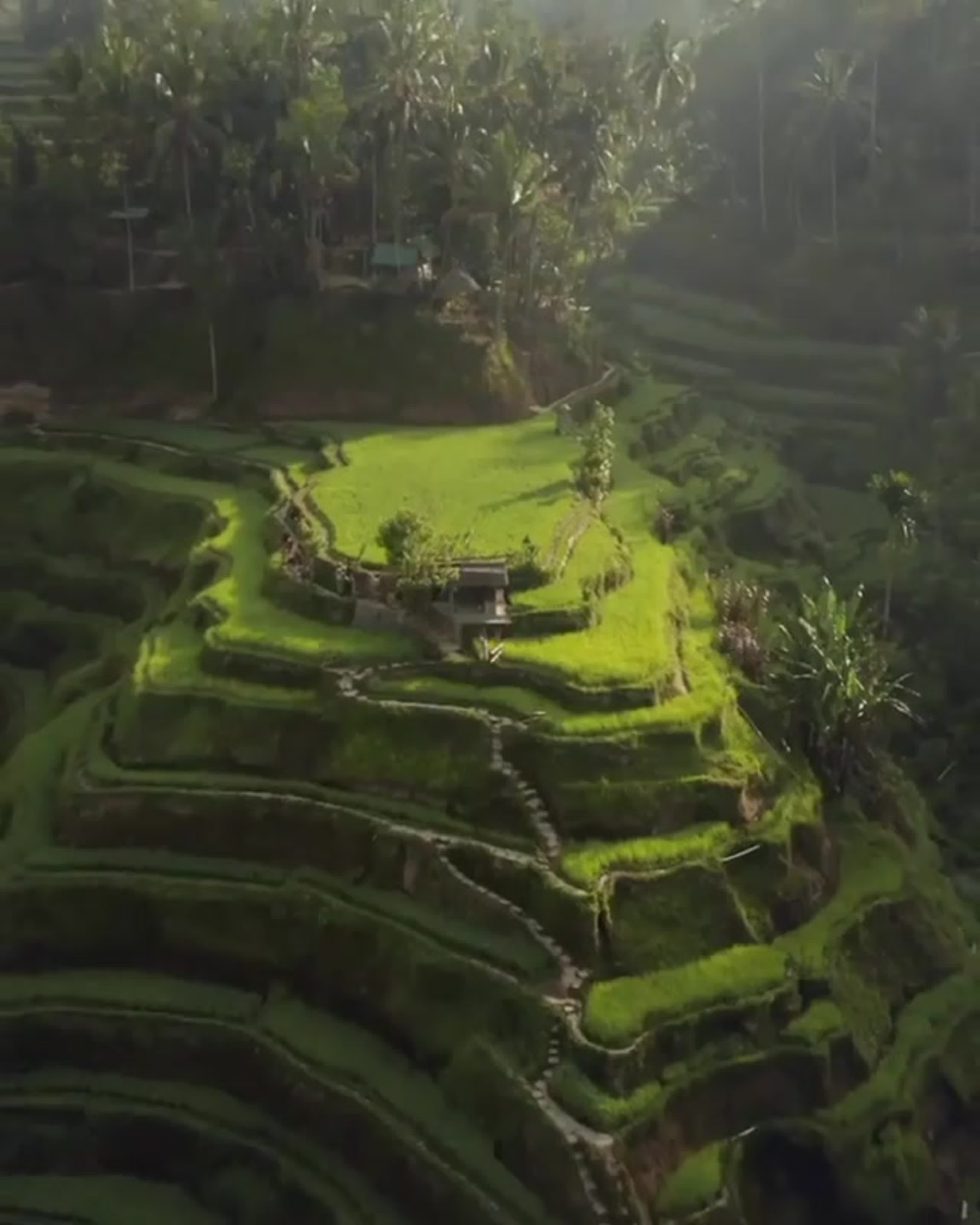 Bali mp4 - ExPornToons