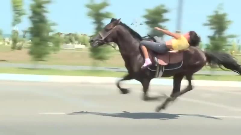 Жокей 99lvl
