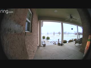 Porch pirate caught on camera