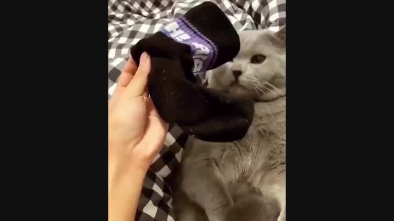 Носки вонючие