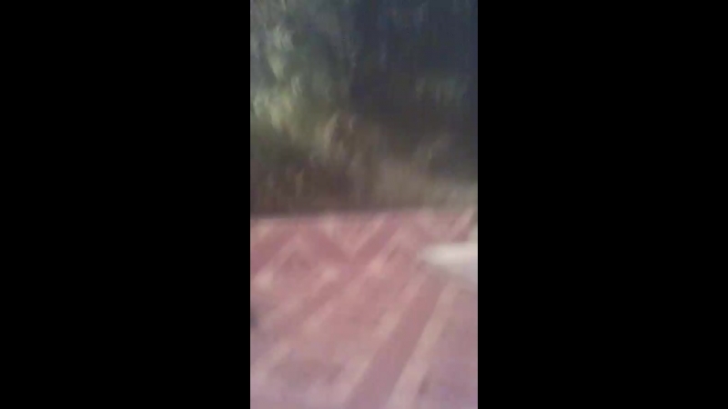 Live контактеры и посланники