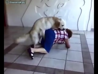 Женщина и пёс