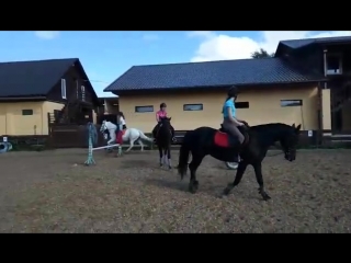 Конкурная тренироа