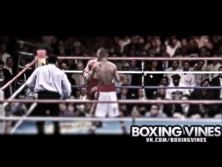 Diego corrales| com/boxingvines