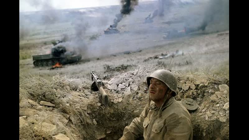 Они сражались за родину(никулин шукшин)