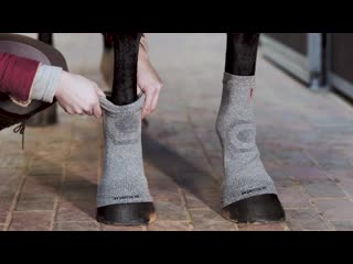 How to apply circulation hoof socks #ehorse