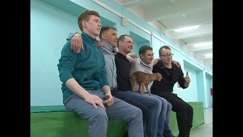 Кастинг молодий металлург 2018