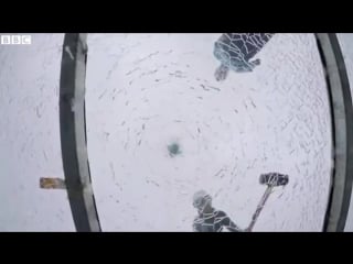 Safety test chinas giant glass bridge hit with sledgehammer by bbc technology reporter