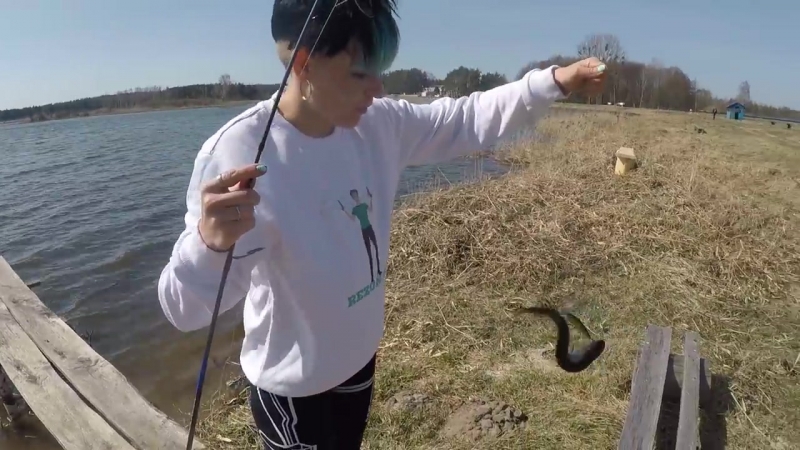 Ловля карпа в камышах тактика ловли ранней весной рыбхоз красная слобода #1