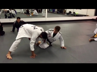 Osvaldo moizinho lapel sweep and lapeloplata to back