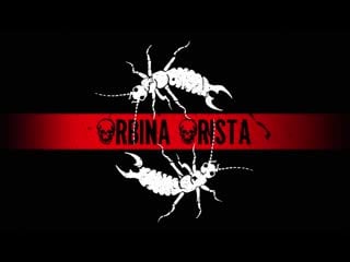 2rbina 2rista клипы (цензура)