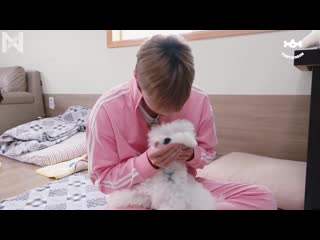 [monsta x’s puppy day with twotuckgom] making film –