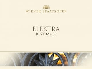 Elektra wiener staatsoper nina stemme ( role debut)