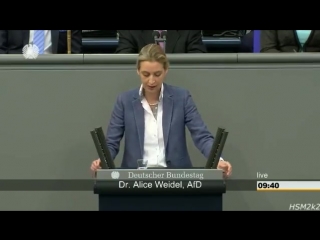 ► afd dr alice weidel antwortet im bundestag auf die regierungserklärung v