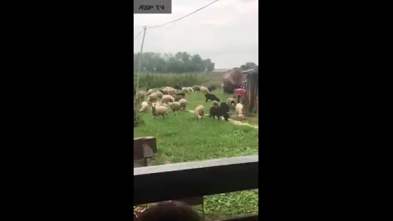 Когда фемки пришли к нам в группу