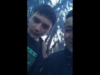 Тимоха пидр