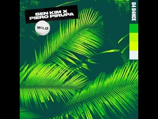 Ben kim x piero pirupa wild (extended mix)