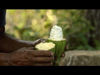 Belize a curious place eladio