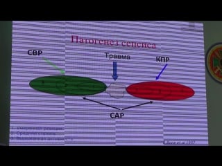 Сепсис первая часть доклада шляпникова mts
