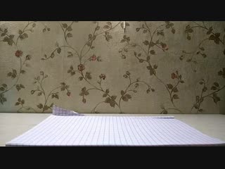 Video guru 20181223 195630571 mp4