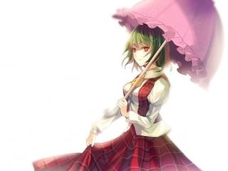 Kazami yuuka (1d)