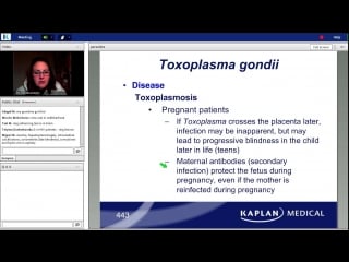 58th lecture kaplan step 1 ca microbiology moscatello march 25, 2014