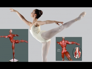 Sls how to arabesque ballet dance cheerleading anatomy and program