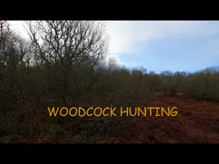 Woodcock hunting (720p) mp4