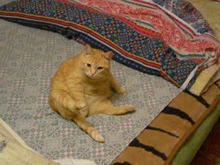 Сусанна моет попку 2