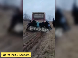 Где то под львовом…