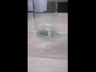 Vid 20201026 150834 mp4