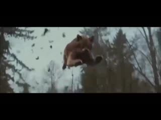 Мудрость волка саня хуй соси