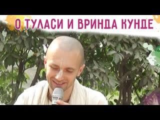 О туласи и вринда кунде cандхья аватар д картика 2019 вринда кунда