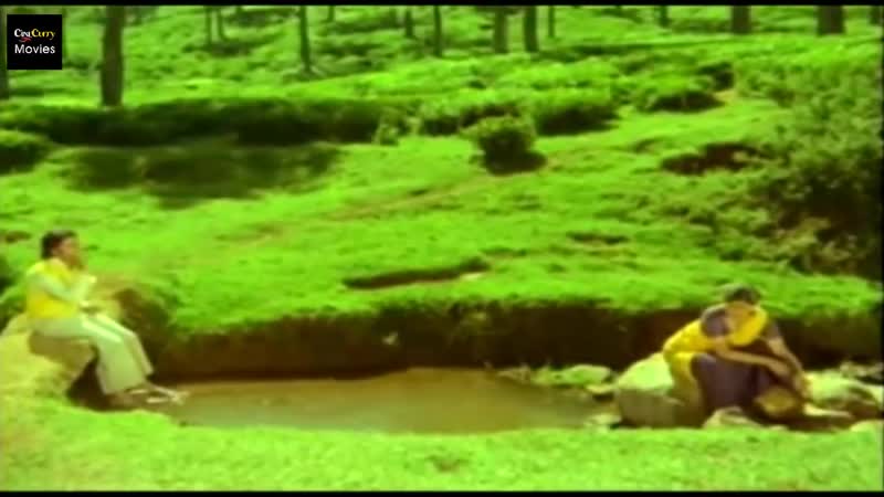 1979 porn video – Kalyanaraman (tamil, 1979)