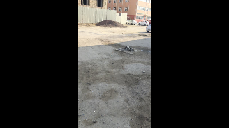 Live бухара | bukhara