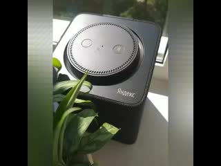 Алиса лючи бузову mp4