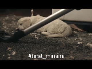 Ивлев #tefal mimimi