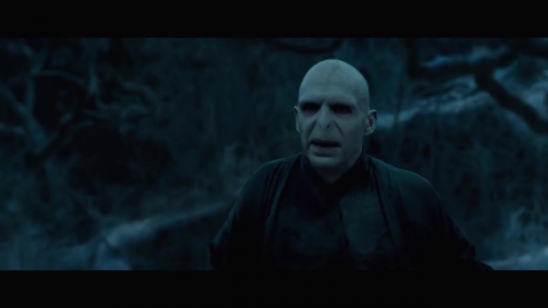 Красавица и лорд волдеморт