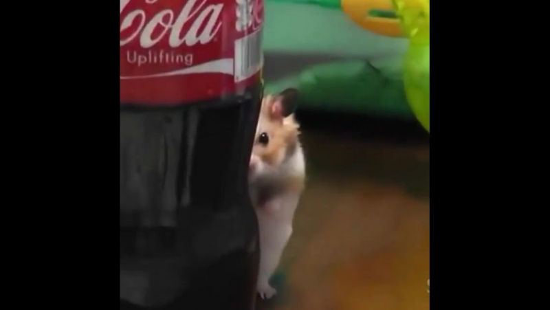 Мани #мэээ