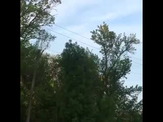 Vazoff video 20200907 0002 mp4