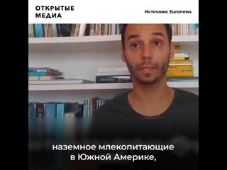 Тагир - HD sex | porn XXX video