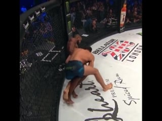 Мусаси vs макдональд